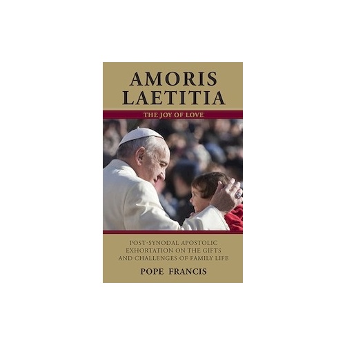 The Joy of the Gospel - Evangelii Gaudium - Pope Francis - eBook INSTA –  Christian Catholic Shop